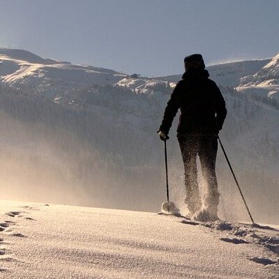 Marchez dans la neige sur 1/2 journée